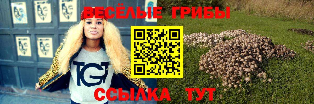 Галлюциногенные грибы мицелий Майский